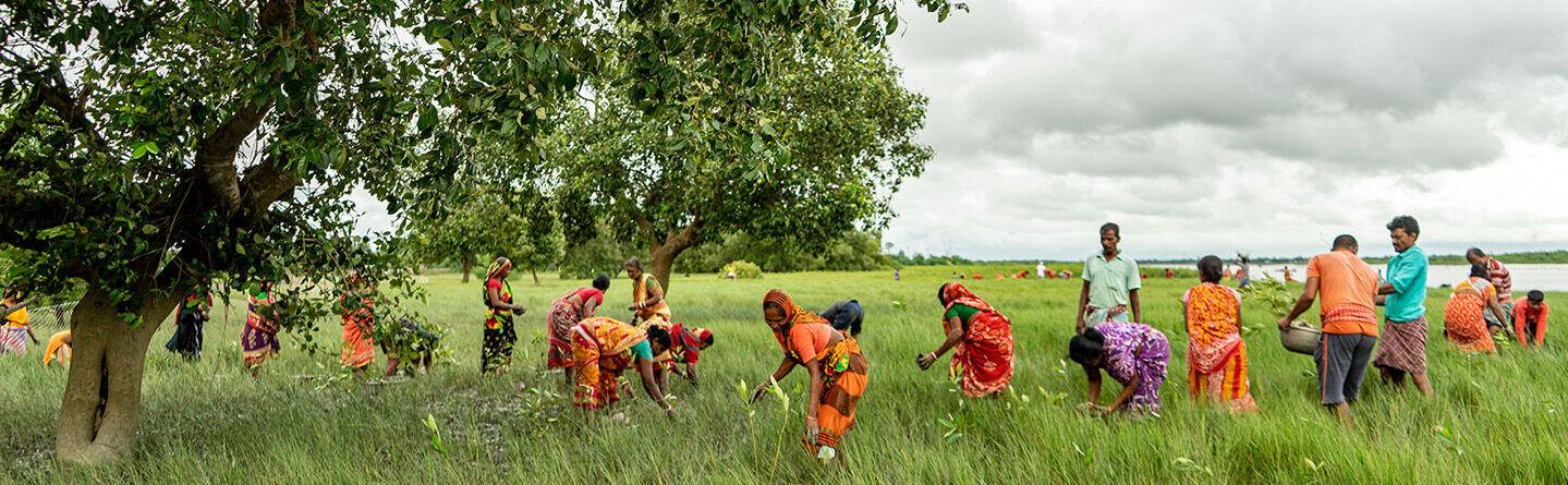 ส่วนบนสุดของเว็บไซต์